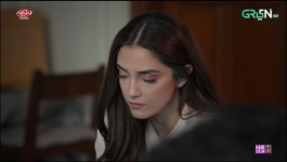 Aik Mohabbat Aur - Episode 19